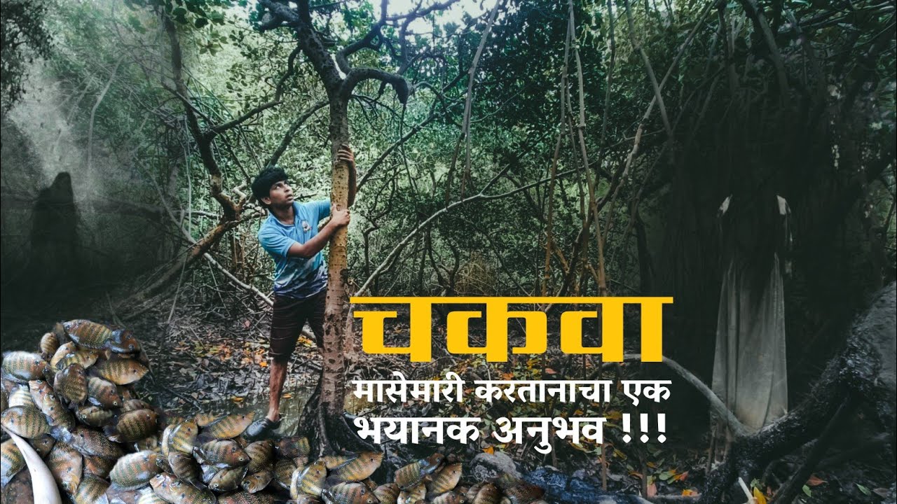 चकवा - मासेमारी करताना खाडीमध्ये आला भयानक अनुभव 😱☠️ #konkan_fishing #koknatil_masemari