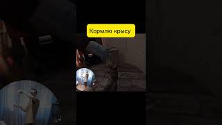 Кормлю крысу#halflifealyx #subscribe #2022 #2023 #врек #рекомендации #vr #приколы #shorts #russia