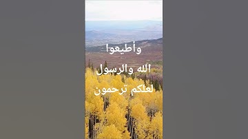 وأطيعوا الله والرسول لعلكم ترحمون ـ سورة آل عمران #قرآن