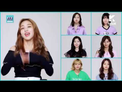 (TÜRKÇE) Jihyo'ya Sor || Twice (트와이스) Ask In A Box Ask Jihyo - What is love?