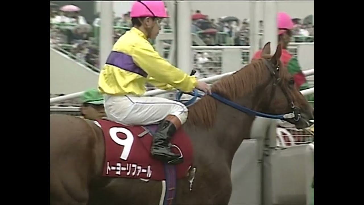 ウイニングチケット 1993年 第38回有馬記念(GI) (優勝馬