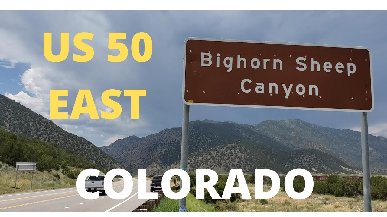 See the Royal Gorge Colorado Big Horn Sheep Canyon Drive East 2021 now
