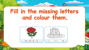 Pre-Primer EVS Lesson | Every Page Explained for Kids | evs for kids | Complete the words and colour