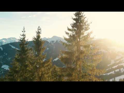 Strauss II: An der schönen, blauen Donau (The Beautiful Blue Danube), Waltz, Op. 314