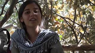 (Tu herbijî aferim berxwedana cizîrê navê serxwebûnya we) Her bijî ji hêza YPJ Ê re her hebin 