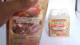 Madu hutan gholiban asli kalimantan 1 kg dengan 0.5 kg terlaris
