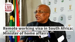 Remote working visas 'important for South Africa': Minister of home affairs