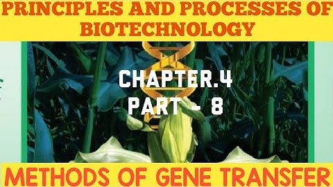 12th bio-botany chapter-4. Principles And Processes Of Biotechnology (METHODS OF GENE TRANSFER)