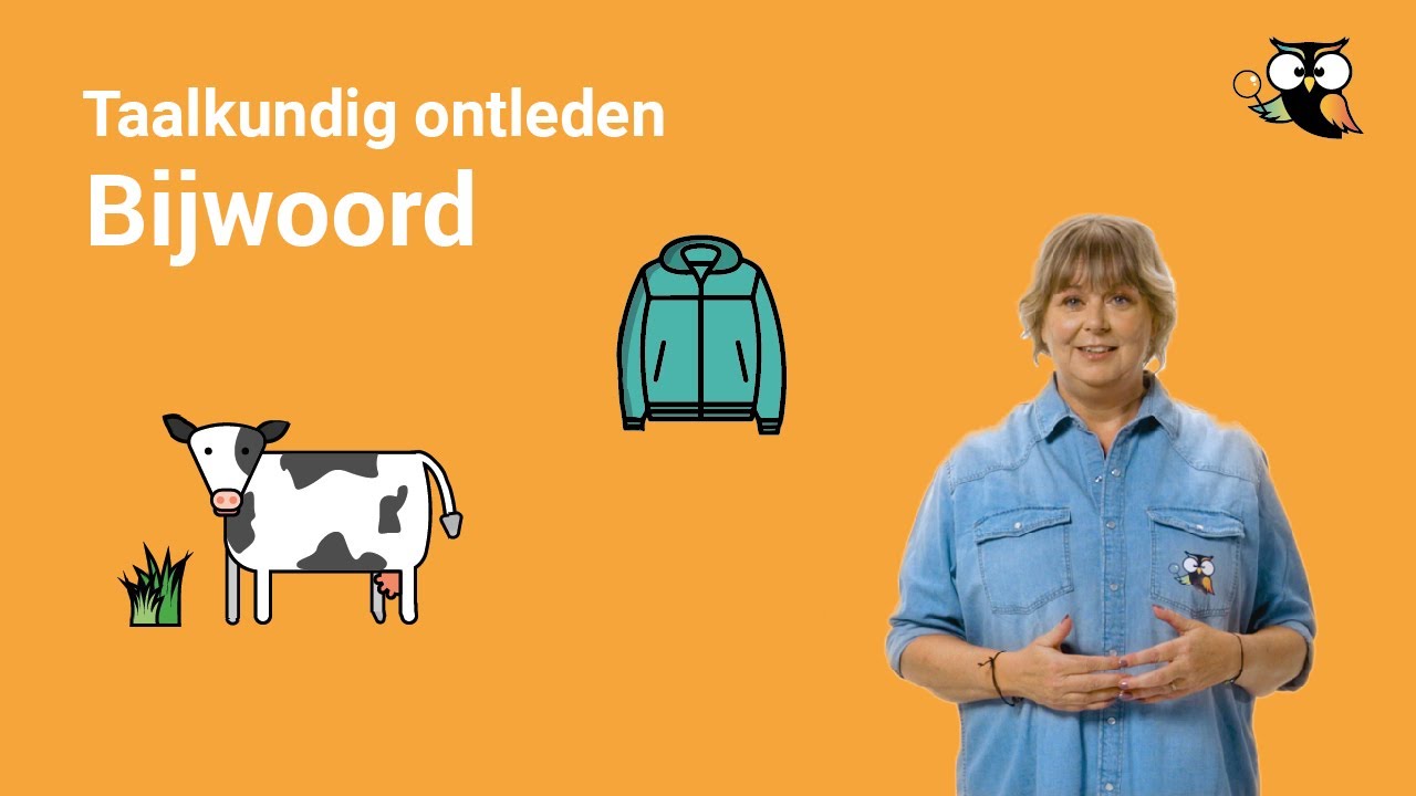 Het bijwoord (complete uitleg)