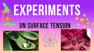 SURFACE TENSION EXPERIMENTS | PROJECTS ON SURFACE TENSION | FLUIDS | CLASS 11 PHYSICS