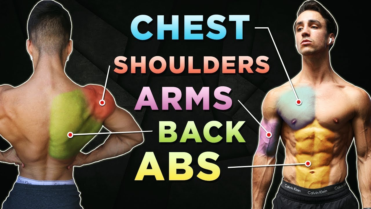 15 MIN UPPER BODY WORKOUT (BACK, ARMS, CHEST & ABS / NO EQUIPMENT ...