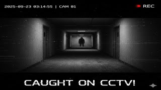 CCTV Animal Horror What Lurks in the Night Playground #viralvideo #shortvideo #cctv #animals