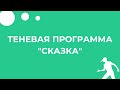 Теневая программа (promo)