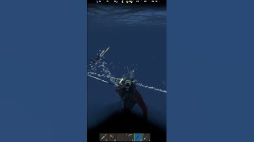 CUM SA FACI ROST DE LOOT IN CATEVA MINUTE? RUST ROMANIA