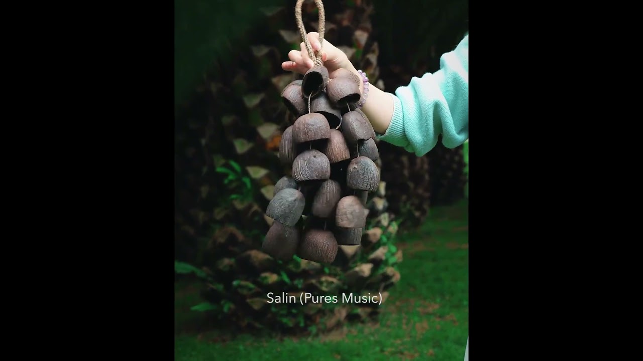 Guarda Seed Shell Shaker Instrument | Natural Sound Healing for Relaxation #seedshellshaker #shellshaker su YouTube Guarda Seed Shell Shaker Instrument | Natural Sound Healing for Relaxation #seedshellshaker #shellshaker su YouTube