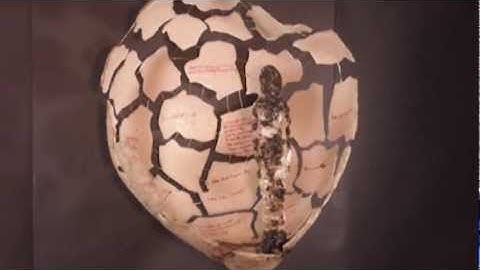 London Elektricity - Fault Lines ft. Elsa Esmeralda (OFFICIAL VIDEO)