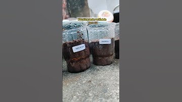 Part -02 of Planting Series with Me #fertilizer #seeds #meeshoseed #planting