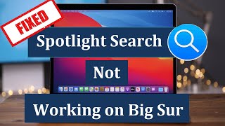 Spotlight Search Not Working on Big Sur (Here is the Fix)