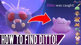 If you are trying to complete your ditto special research task in
pokemon go then this video should really help out! it will show every
current disguise ...