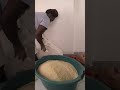 How I mix my roadrunner feed #chicken