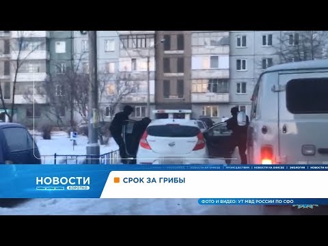 Двум красноярцам грозит пожизненное заключение за продажу галлюциногенных грибов