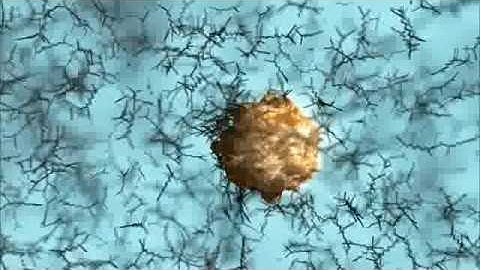 Animation : Journey to discover the nature of mass (the Higgs Field)