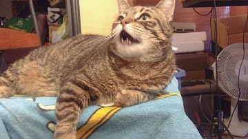 Commodore 64 With A Strange Keyboard Broken Key - C64 C-64 64C 8-Bit 64 - Dave Bradley - Episode 597