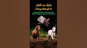 وَنُنَزِّلُ مِنَ الْقُرْآنِ مَا هُوَ شِفَاءٌ وَرَحْمَةٌ﴿٨٢﴾‏ سورة الاسراء