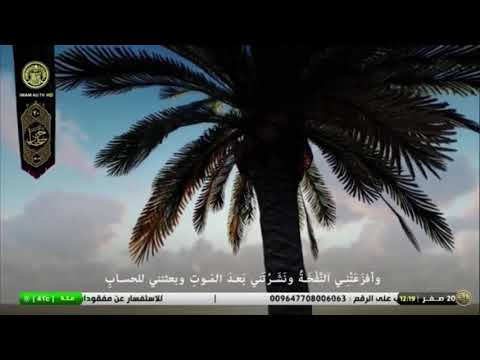 دعاء السيدة فاطمة الزهراء بعد صلاة الظهر القارئ قاسم الجبوري