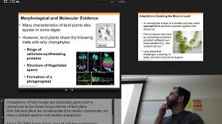 PCC Biology 212 Chapter 29 Pt. 1 Seedless Plants