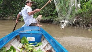 Bão cá P1: Clip k cắt mời các bạn đi trải nghiệm 2 dạo nước chiều cá quằng tay | Săn bắt SÓC TRĂNG |