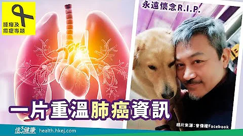【腫瘤及癌症專題】一片重溫肺癌資訊 - 天天要聞