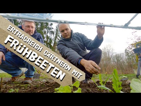 Video: Gärtnern mit Frühbeet - Wie man Pflanzen in einem Frühbeet anbaut