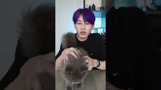 การทดลอง | เสียงนี้ทำให้แมวยืนได้ ? #คนไทยเป็นคนตลก #ป๋าบอล #การทดลอง screenshot 2