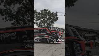 STORY WA BUS AL FAYED#trending#bussid371#viral#yt#bussidsimulatorindonesiamod#shorts