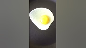 Quick timelapse of cooking an egg