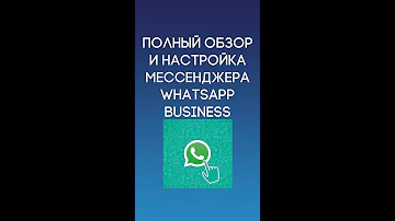 Полный обзор и настройка WhatsApp Business