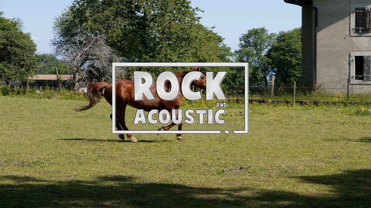 COPPER HORSE KYLIE DAILEY [ACOUSTIC][FOLK] YouTube