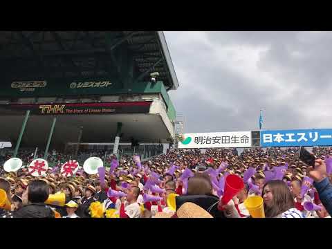 春日部共栄　アフリカンシンフォニー　2019年春