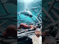 Goku Rescues Dolphin from Naruto | Dolphin Returns the Favor #shorts #goku #action