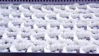 Prismlab case show- Angelalign- 3D Printer RP-600 High speed high precesion