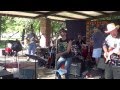 Vasoline - Stone Temple Pilots - Neighborhood Picnic Band 2014