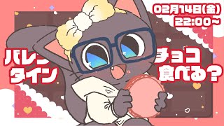 【バレンタイン配信】子ネコVtuberがスイーツ食べる配信！！20250214