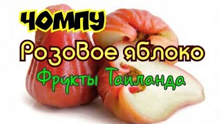 Фрукты Таиланда Чомпу  Розовое яблоко Таиланд Паттайя 2018