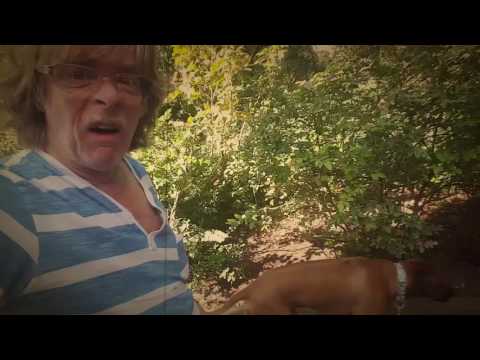 Helge Schneider - Superstar Hobby