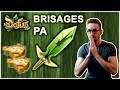 L'ITEM LE PLUS DUR À FM DE DOFUS - CROCOBUR - FORGEMAGIE - Gryfox [DOFUS]