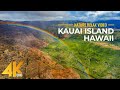 Nature incroyable dune le tropicale 4k u hawaii relaxation film