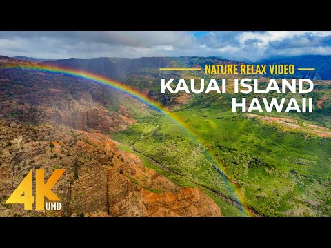 Video: Retotic Hawaii Exotic dengan Ciri-ciri Mengagumkan dan Pemandangan Menakjubkan