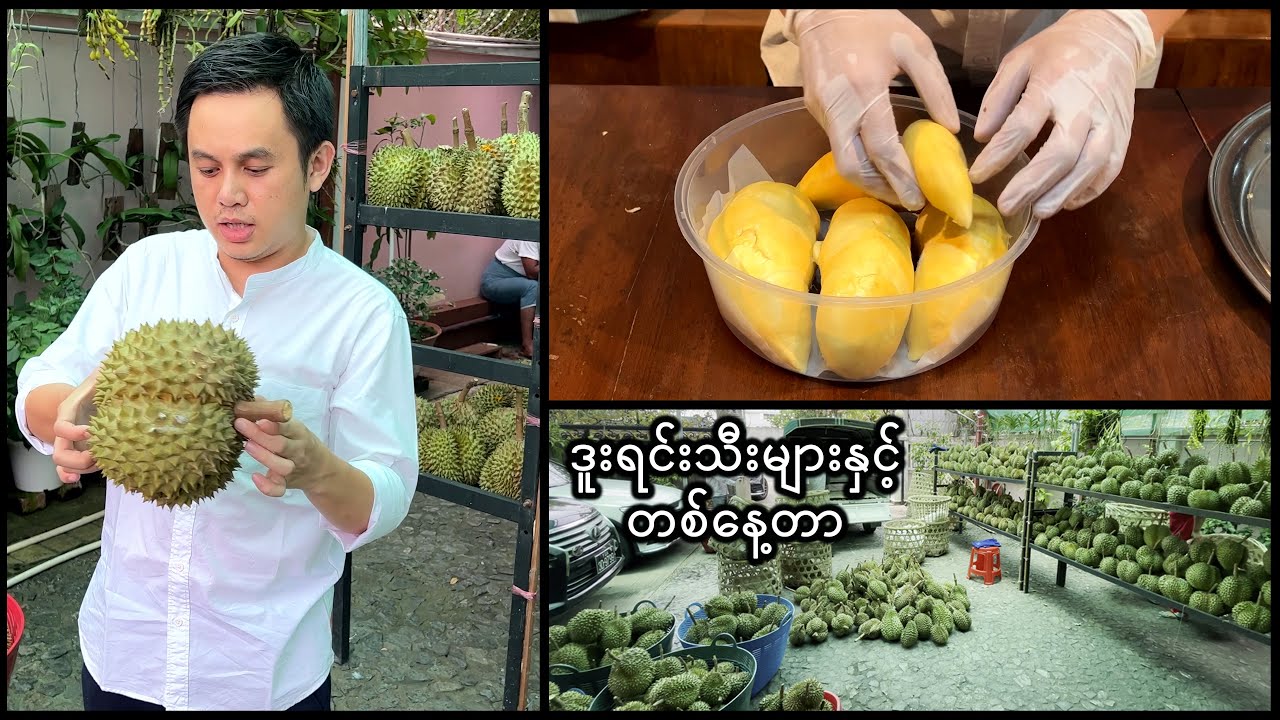 လှိုင်ဒူးရင်းမှာ တစ်နေ့တာ