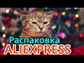 Распаковка посылок 📦AliExpress #47